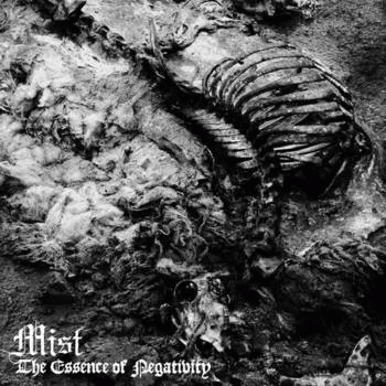 The Essence of Negativity